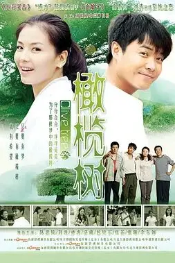 《橄榄树》封面