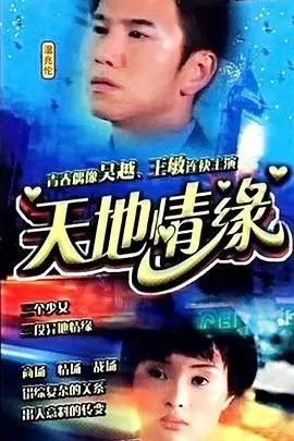 《天地情缘》封面