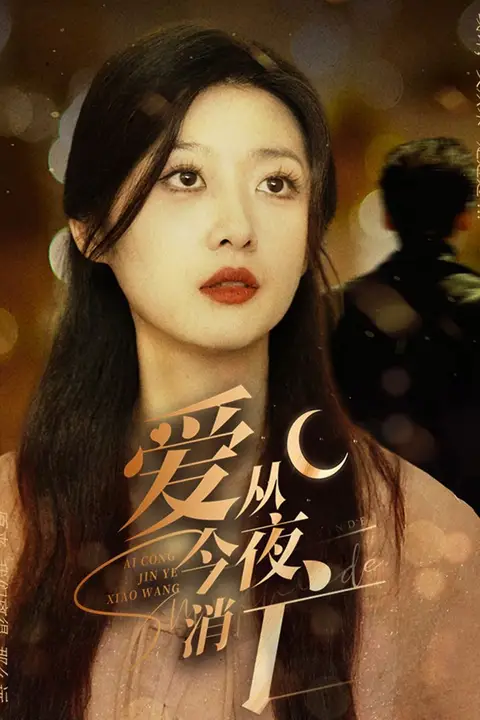 《爱从今夜消亡》封面