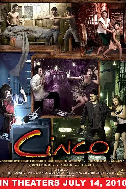 《五 2010》封面