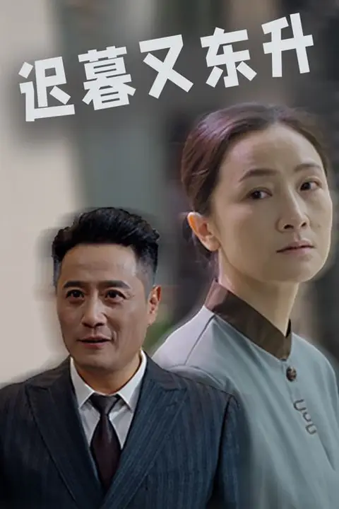 《迟暮又东升》封面