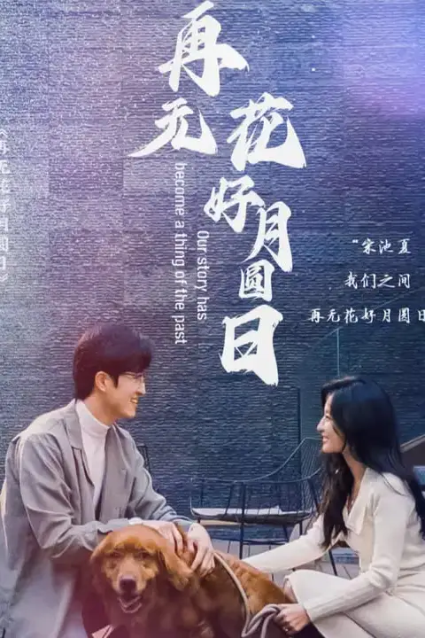 《再无花好月圆日》封面