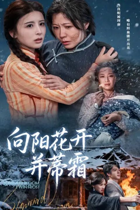 《向阳花开并蒂霜》封面