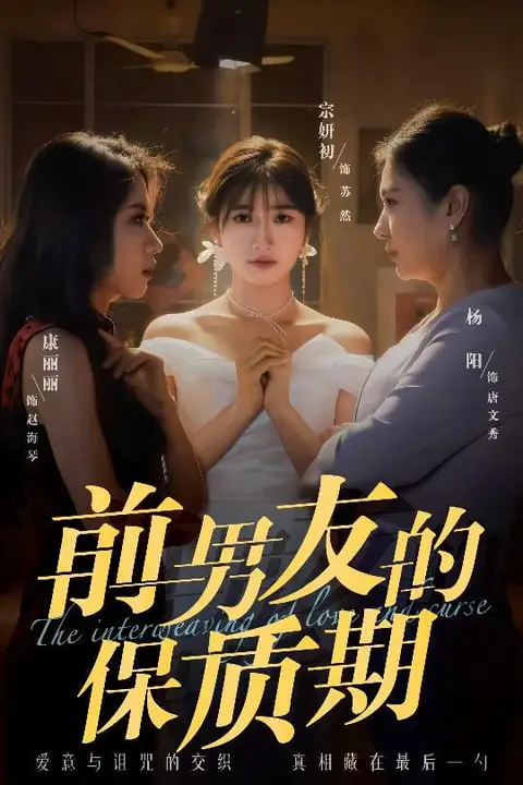 《前男友的保质期》封面