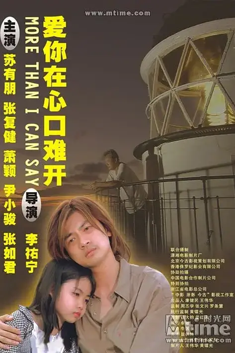 《乌龙小子流浪记》封面