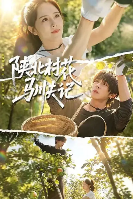 《陕北村花驯夫记》封面