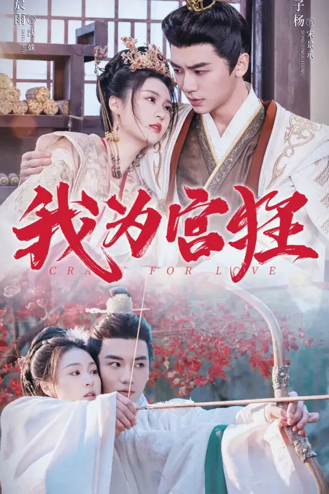 《我为宫狂》封面