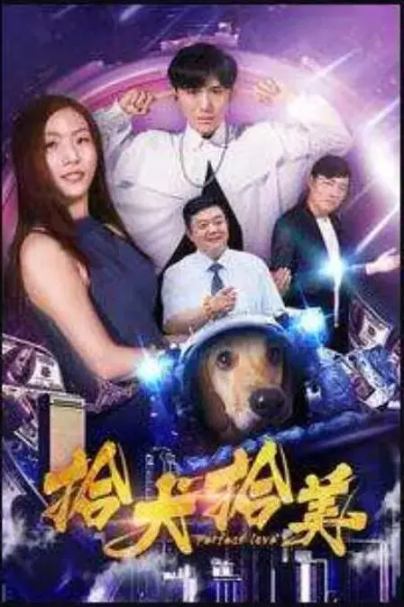 《拾犬拾美》封面