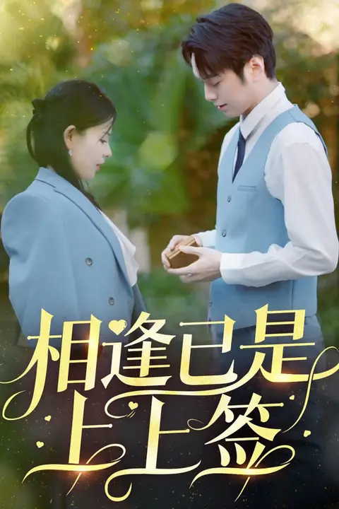 《相逢已是上上签》封面