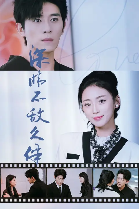 《深情不敌久伴》封面