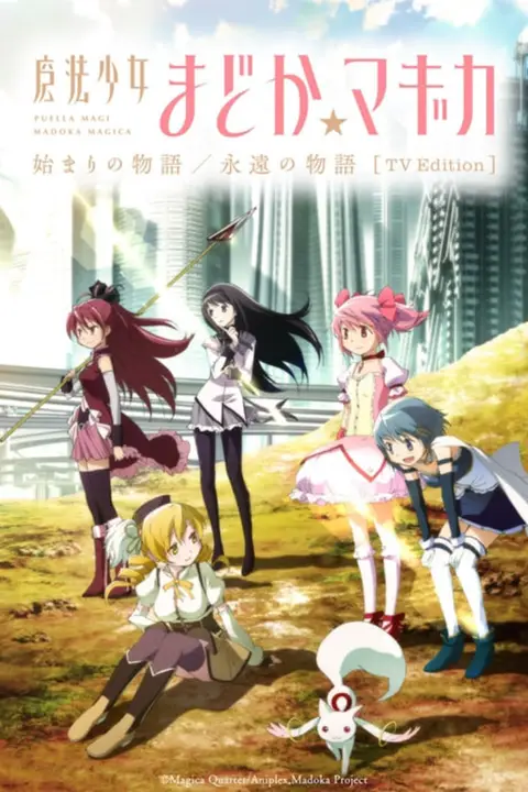 《魔法少女小圆 起始的物语 永远的物语》封面