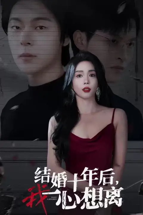 《结婚十年后我一心想离》封面