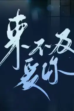 《来不及爱你》封面