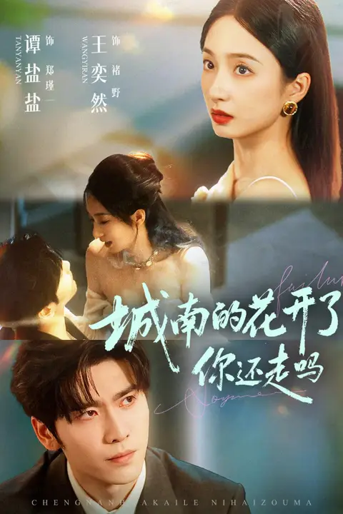 《城南的花开了，你还走吗》封面
