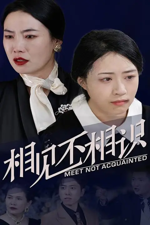 《父子相见不相识》封面