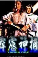 《霹雳神捕》封面