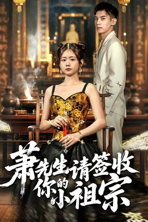 《萧先生请签收你的小祖宗》封面