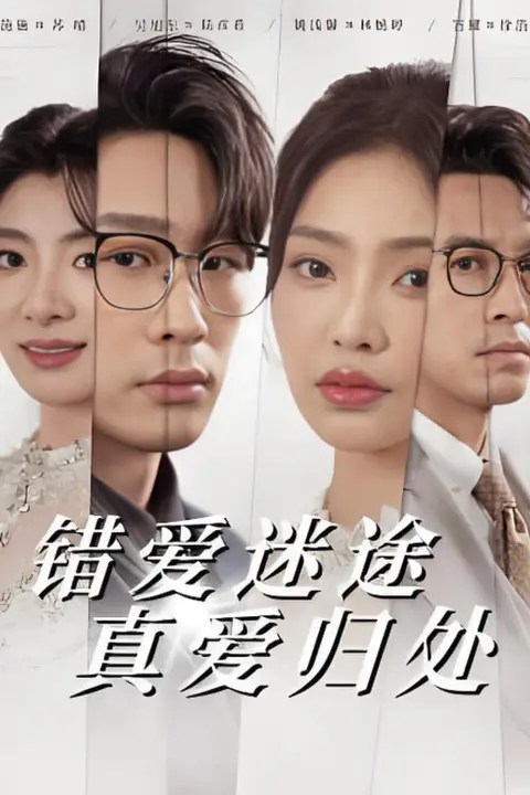 《错爱迷途真爱归处》封面