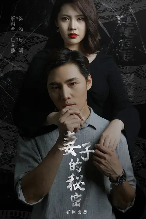 《妻子不能说的秘密(妻子的秘密)》封面
