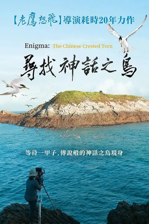 《寻找神话之鸟》封面