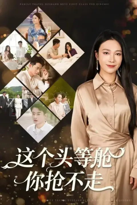 《这个头等舱你抢不走》封面