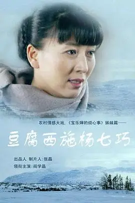 《豆腐西施杨七巧》封面