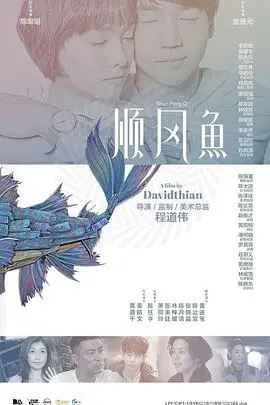 《顺风鱼》封面
