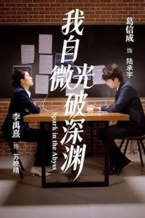 《我自微光破深渊》封面