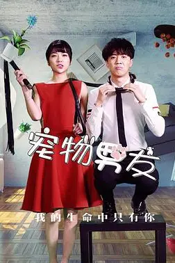 《宠物男友》封面