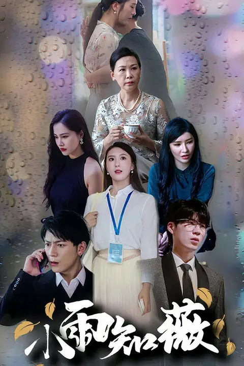 《小雨知薇》封面