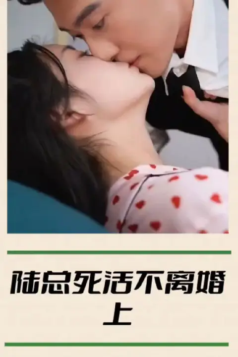 《陆总死活不离婚》封面