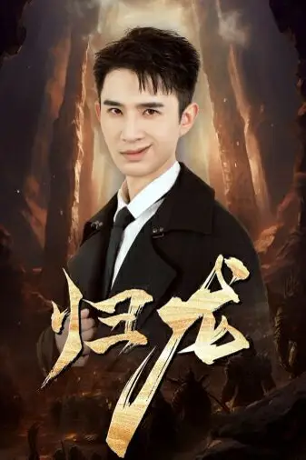 《归龙》封面