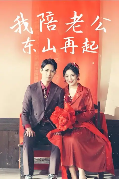 《我陪老公东山再起》封面