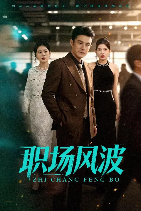 《职场风波》封面