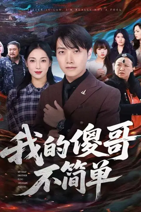 《我的傻哥不简单》封面