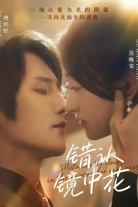 《错认镜中花》封面