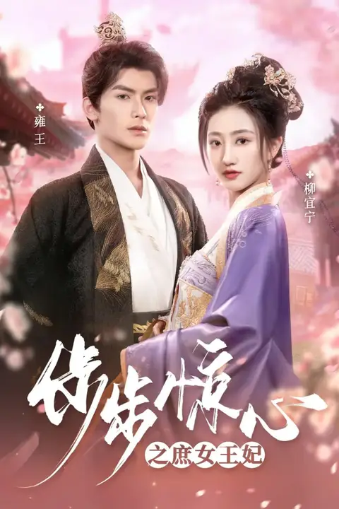 《步步惊心之庶女王妃》封面