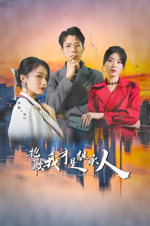 《抱歉我才是继承人》封面