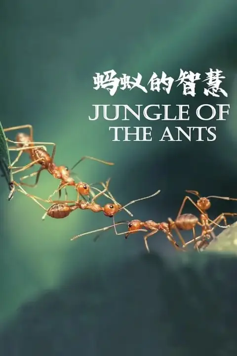 《蚂蚁的智慧》封面