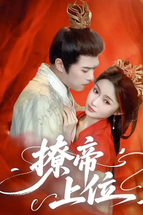 《撩帝上位》封面