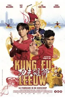 《功夫雄狮》封面
