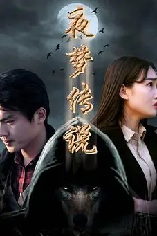 《夜梦传说之天狼使者》封面