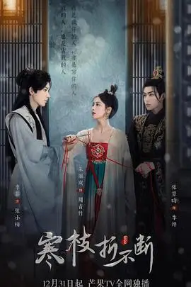 《寒枝折不断》封面