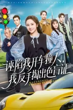 《诬陷我开车撞人,我反手掏出色盲证》封面