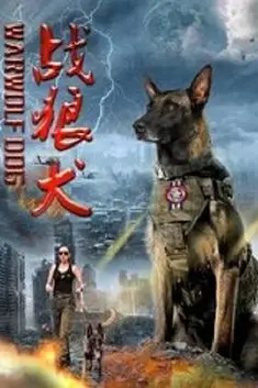 《战狼犬》封面