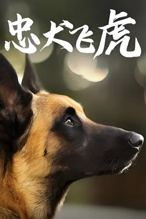 《忠犬飞虎》封面