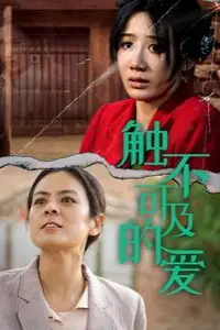 《新触不可及的爱》封面