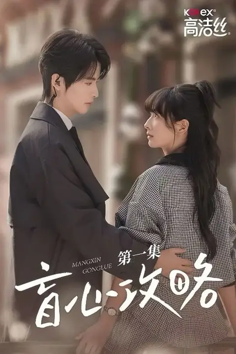 《盲心攻略》封面