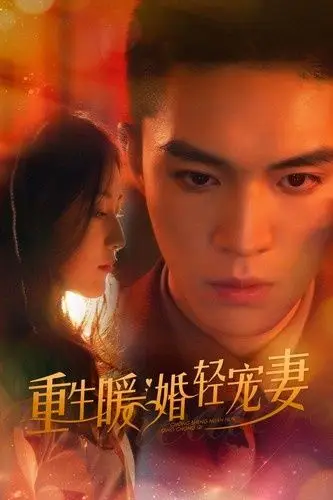 《重生暖婚轻宠妻》封面
