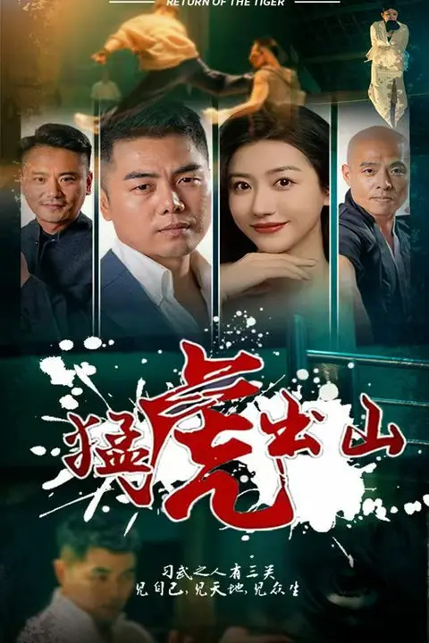 《猛虎出山》封面